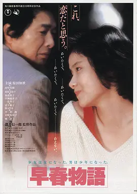 光棍影院高分电影雪落无声海报
